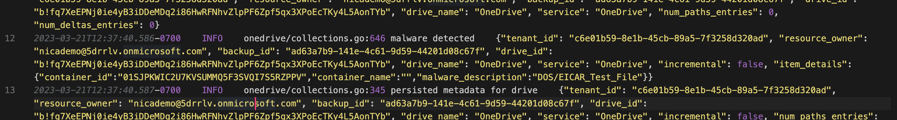 Image of Corso logging errors and exceptions, with one item of malware detected